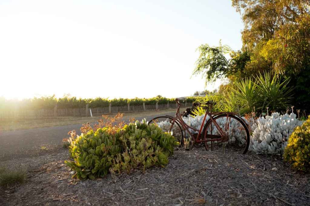 The Homestead Studio — 13